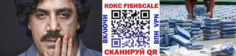 Cocaine FishScale  darknet телеграм  Черепаново 